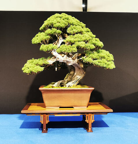 IMG_20260228_114900_edit_182790941548148