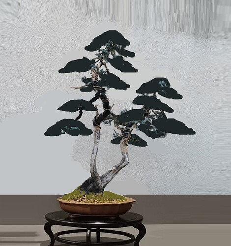 ___________DSCN01virt5