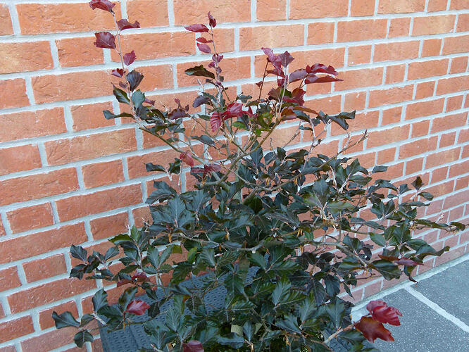 P1200154