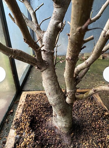 Screenshot_20260203_120357_com.android.chrome_edit_9929900858380