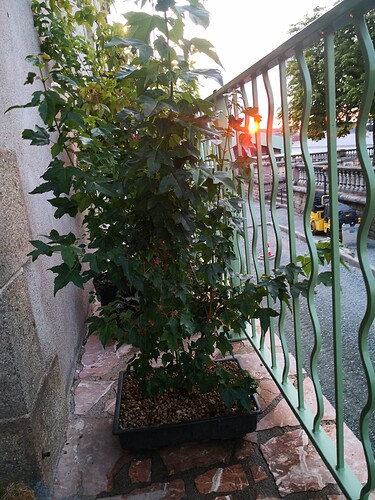 received_3318095778469430