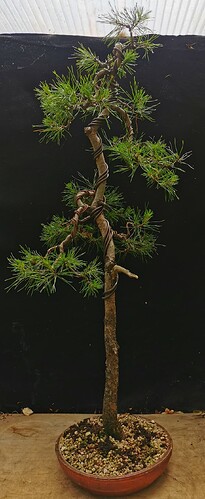 2025-06-22-15-29-51-128