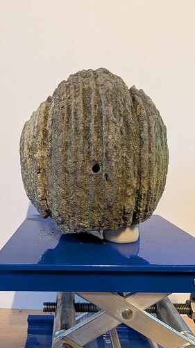 PXL_20260101_160011986