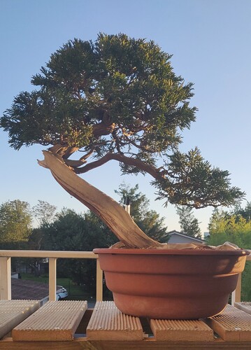 IMG_20251010_185456__01