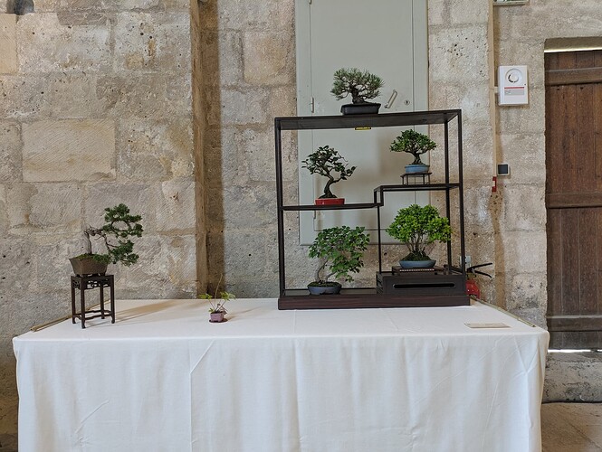 PXL_20250524_153312218