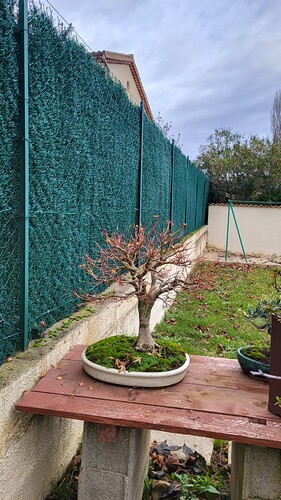 20251206_120737_resized