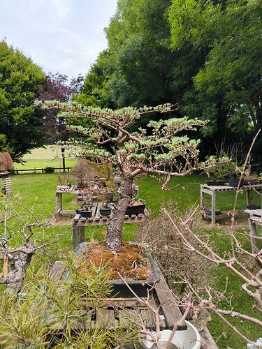 d169a240-3a24-11f0-91b2-213675045f3b