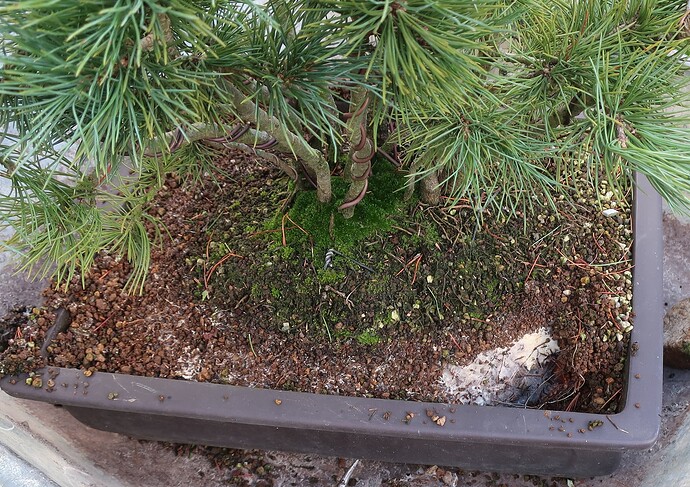 pin flexible 2025 11 26 (1)