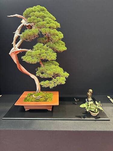 550993237_1420229403444040_4368501991537604824_n