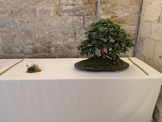 PXL_20250525_145251183