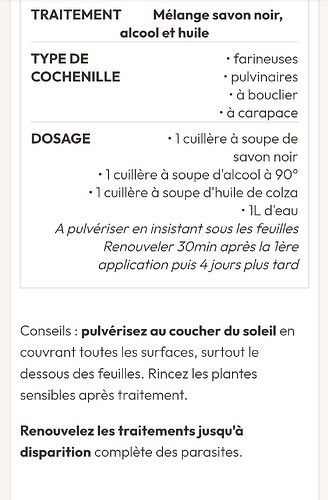 Screenshot_20251110_084541_com.android.chrome_edit_13819885063515