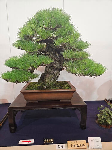 631789228_3344378835727511_4624449053524140454_n