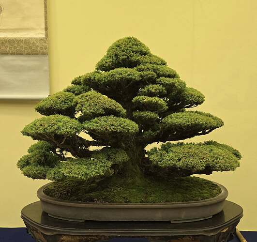 586265501_1429078499226551_798288761619455593_n