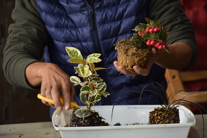 DSC_0272