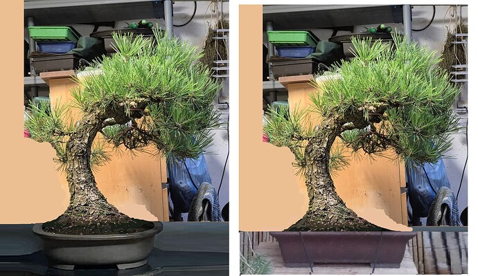 ___________DSCN02virt1