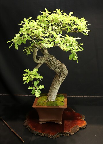 2025-05 Marcoussis (19)