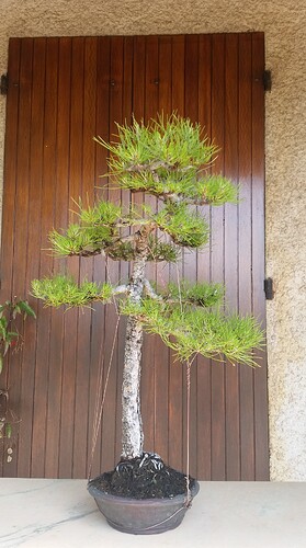 485084215_1714154149498099_2081167102861748852_n