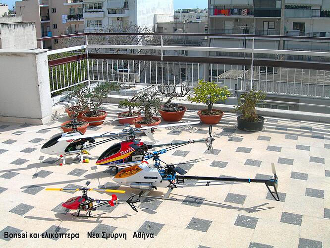 zachos  heli 019