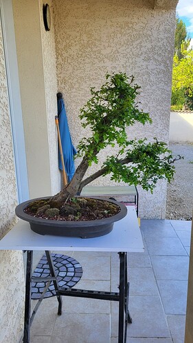 20250421_172215_resized_1