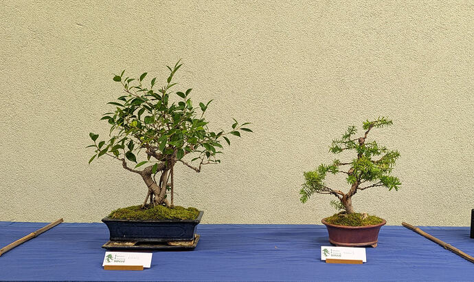 PXL_20260301_103309199