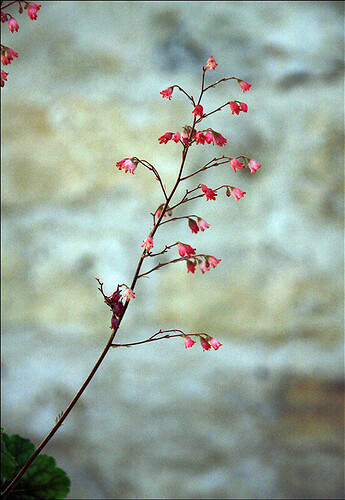 2025.05.24(81)copie1