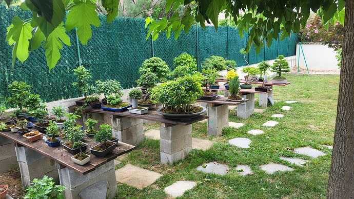 20250623_184618_resized