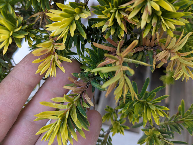 PXL_20260722_151926950