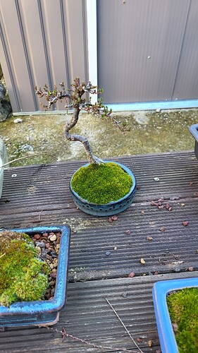 20250302_162130_resized