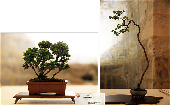 2025.05.24(montage108-110)1