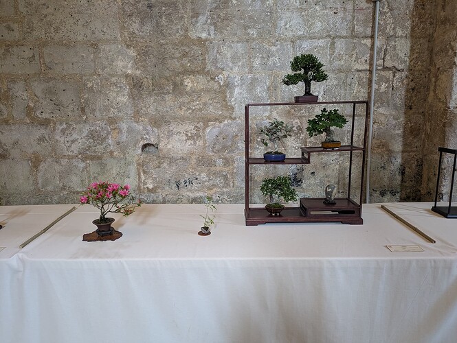 PXL_20250524_154442010