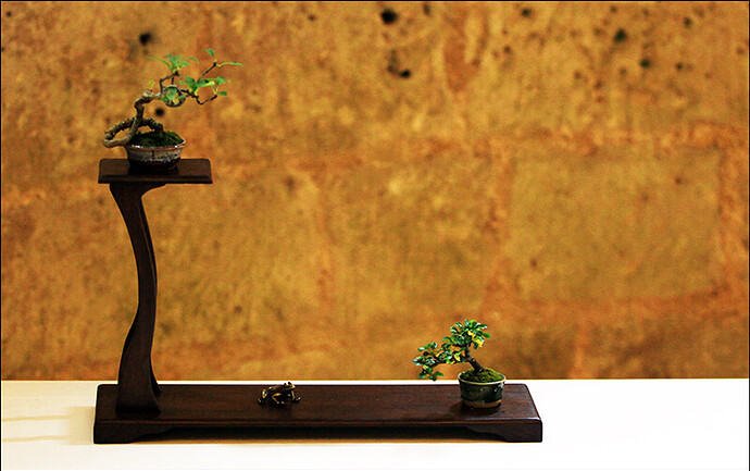 2025.05.25(27)copie1