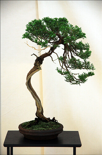 2025.05.24(45)copie1