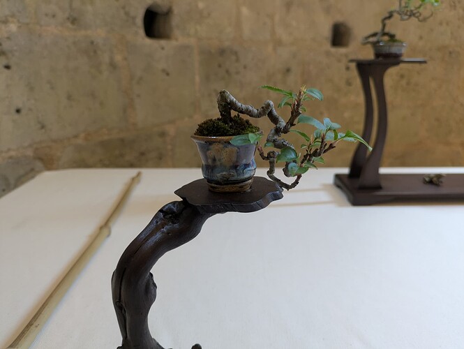 PXL_20250524_153355844