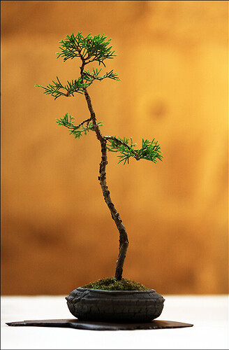 2025.05.25(34)copie1