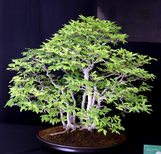 2025-05 Marcoussis (25)