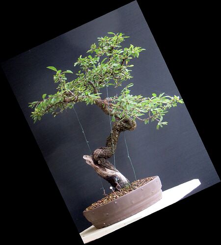 4bf6f50d1c81889cae692a7fc08b6638612184c2