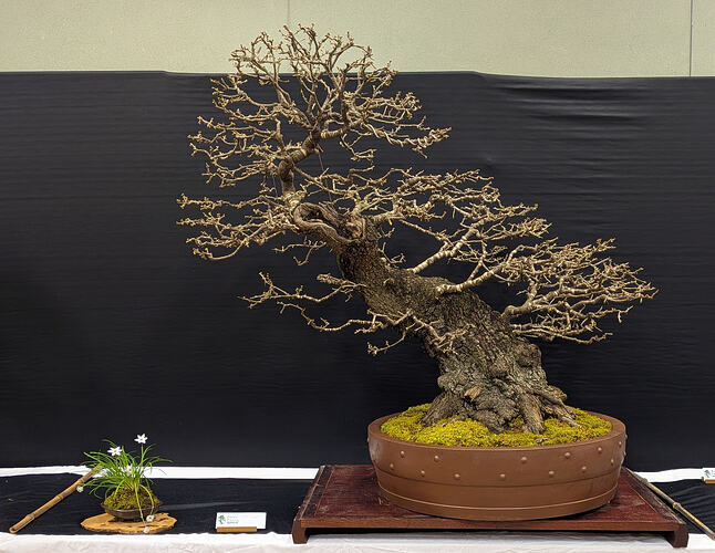 PXL_20260301_103412353