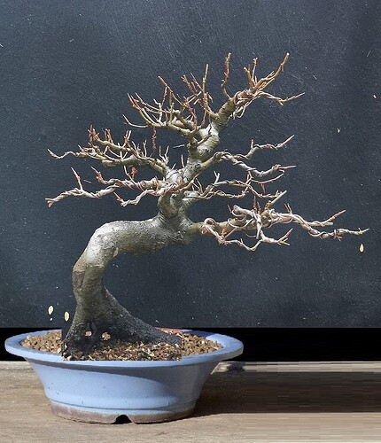 b8f623e0291b5a509ae5e4d98b2389a717c8b21b_2_634x750