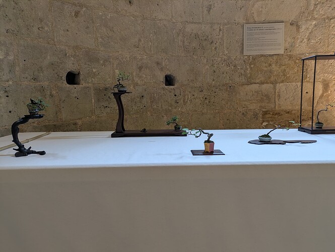 PXL_20250524_153348541