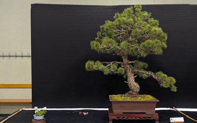 PXL_20260301_103405205