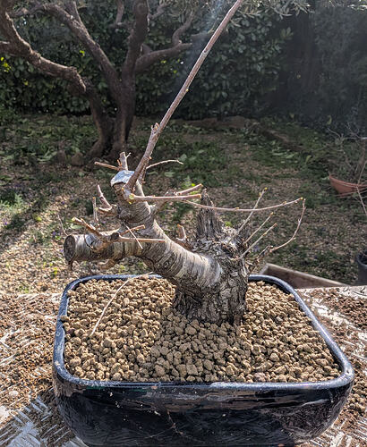 PXL_20260220_113238202