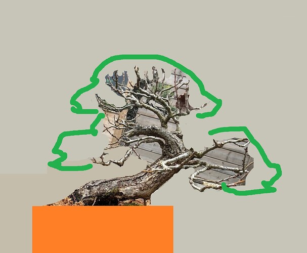 ___________DSCN119