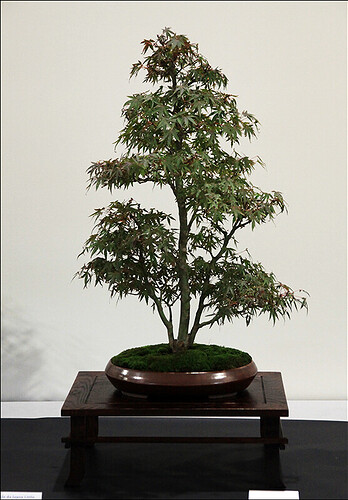 2024.10.20(12)copie1