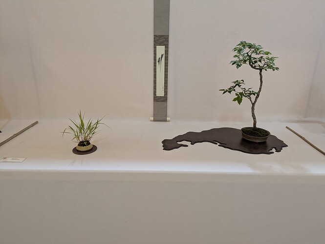 PXL_20250524_153209747