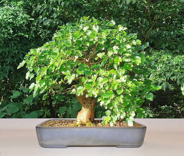 3da6f48ea681ee139a112f02eb9b4c8b23838a8c