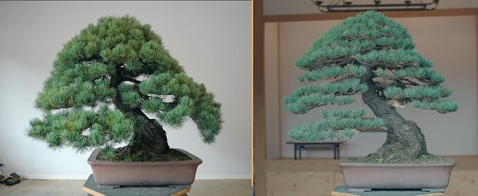 ___________DSCN01virt1-1