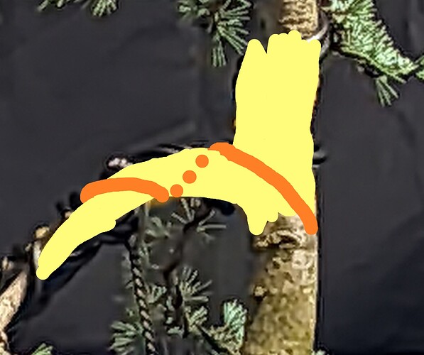 ___________DSCN01-1virt1