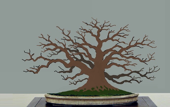 acer palmatum beni tsukasa 2020 11 09 004virt8