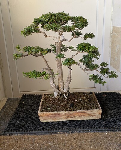 PXL_20251006_111835615