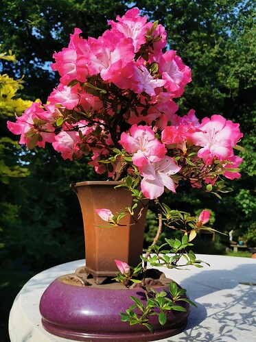 2025-05-18-18-45-08-551